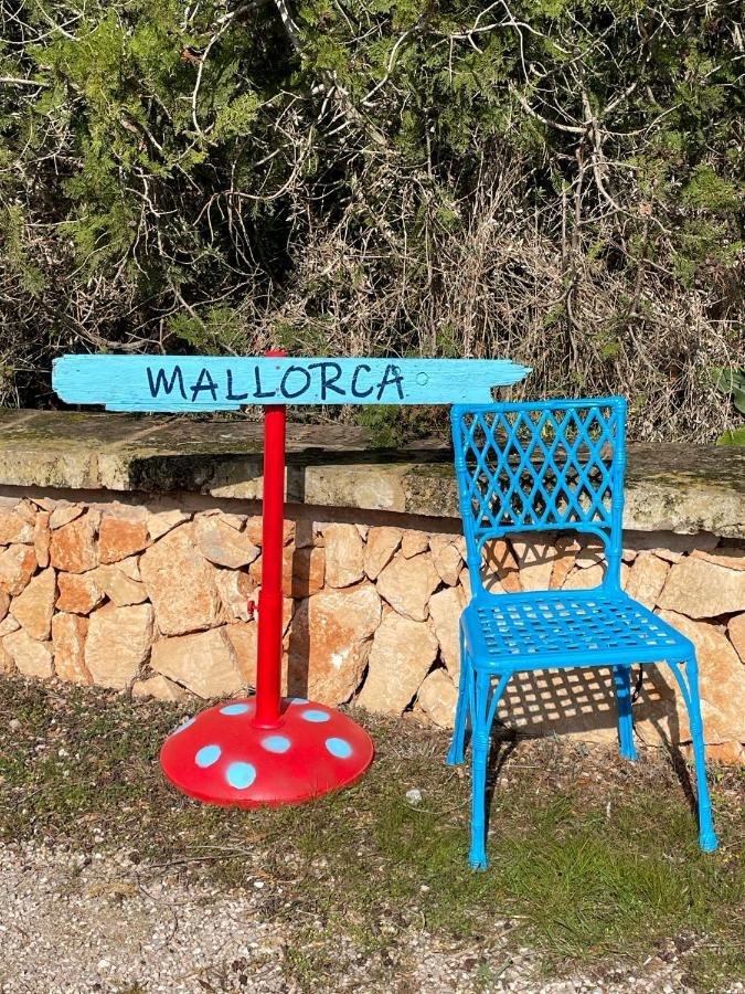 Agroturismo S Hort De Can Carrio Ag226 Ses Salines  Kültér fotó