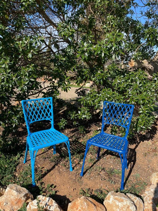 Agroturismo S Hort De Can Carrio Ag226 Ses Salines  Kültér fotó